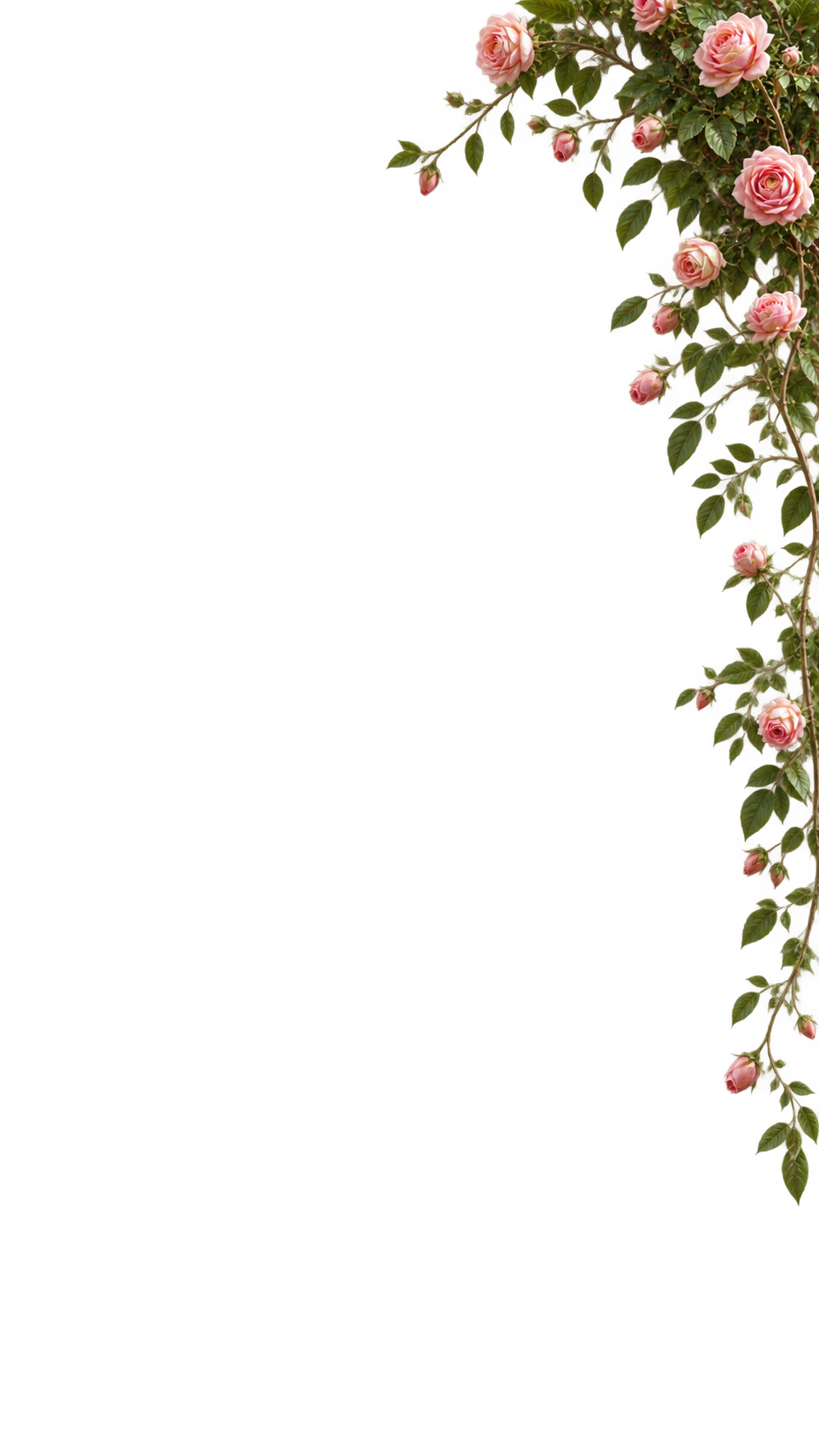Top Flowers Right